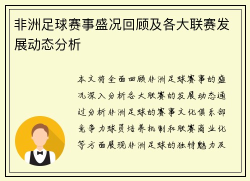 非洲足球赛事盛况回顾及各大联赛发展动态分析