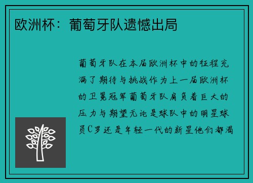 欧洲杯：葡萄牙队遗憾出局