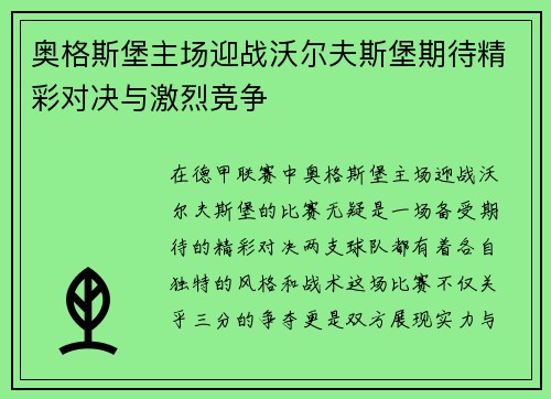 奥格斯堡主场迎战沃尔夫斯堡期待精彩对决与激烈竞争