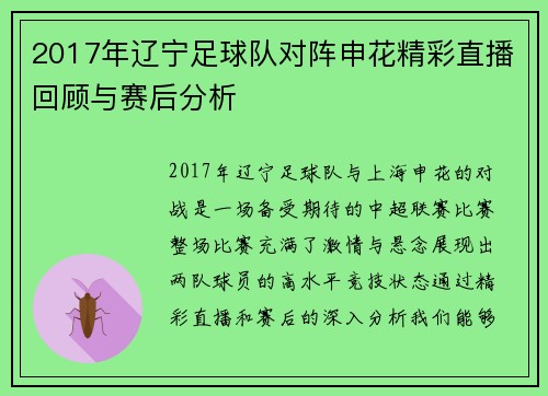 2017年辽宁足球队对阵申花精彩直播回顾与赛后分析
