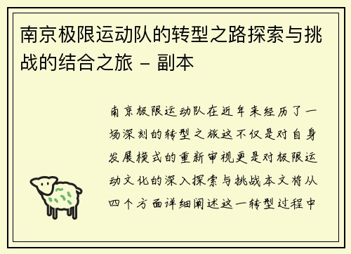 南京极限运动队的转型之路探索与挑战的结合之旅 - 副本