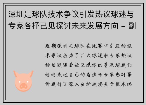深圳足球队技术争议引发热议球迷与专家各抒己见探讨未来发展方向 - 副本