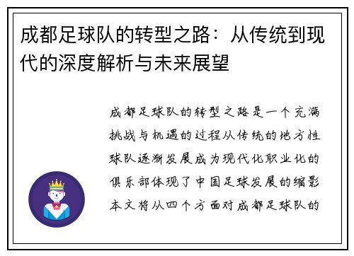 成都足球队的转型之路：从传统到现代的深度解析与未来展望